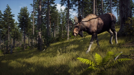 Way of the Hunter | Elite Edition (PC) - Steam Key - GLOBAL - 11