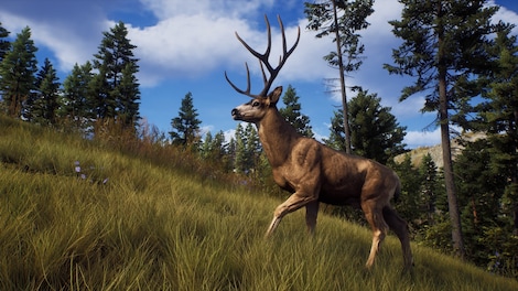 Way of the Hunter | Elite Edition (PC) - Steam Key - GLOBAL - 7