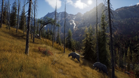 Way of the Hunter | Elite Edition (Xbox Series X/S) - Xbox Live Key - EUROPE - 12