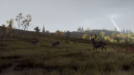 Way of the Hunter: Map Pack 2 (Xbox Series X/S) - Xbox Live Key - EUROPE - 10