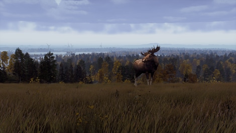 Way of the Hunter: Map Pack 2 (Xbox Series X/S) - Xbox Live Key - EUROPE - 9