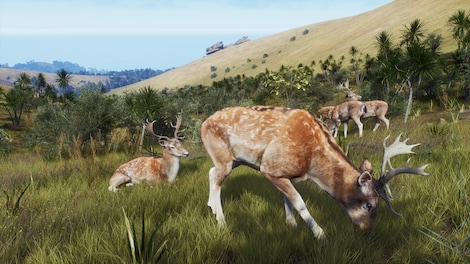 Way of the Hunter: Map Pack 2 (Xbox Series X/S) - Xbox Live Key - EUROPE - 7