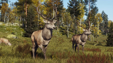 Way of the Hunter: Map Pack 2 (Xbox Series X/S) - Xbox Live Key - EUROPE - 12