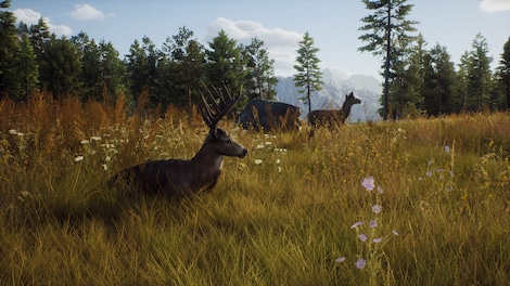 Way of the Hunter (PC) - Steam Gift - GLOBAL - 13