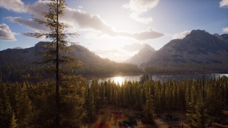 Way of the Hunter (PC) - Steam Gift - NORTH AMERICA - 8