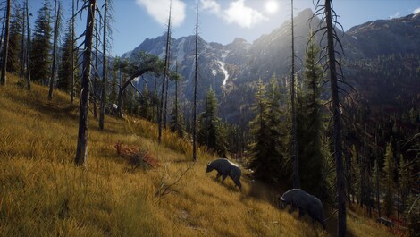 Way of the Hunter (PC) - Steam Key - RU/CIS - 12