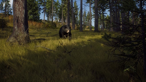 Way of the Hunter (PS5) - PSN Key - UNITED STATES - 9