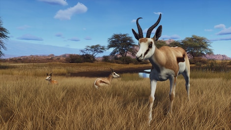 Way of the Hunter - Tikamoon Plains (PC) - Steam Gift - GLOBAL - 6