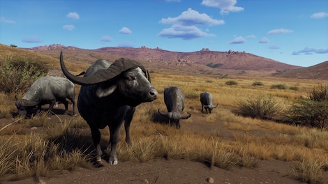 Way of the Hunter - Tikamoon Plains (PC) - Steam Gift - GLOBAL - 9