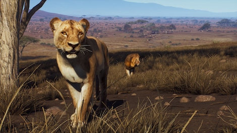 Way of the Hunter - Tikamoon Plains (PC) - Steam Gift - GLOBAL - 5