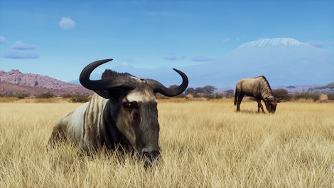 Way of the Hunter - Tikamoon Plains (PC) - Steam Gift - GLOBAL - 8