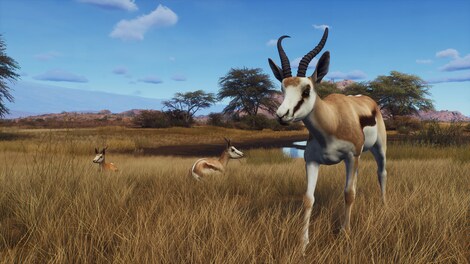 Way of the Hunter - Tikamoon Plains (PC) - Steam Key - GLOBAL - 6