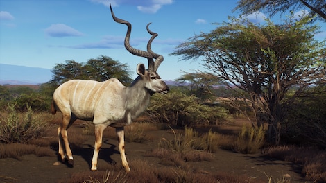 Way of the Hunter - Tikamoon Plains (PC) - Steam Key - GLOBAL - 11