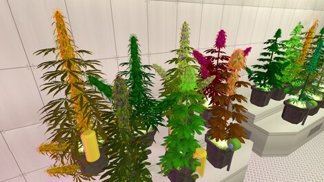 Weed Shop 2 Steam Gift UNITED KINGDOM - 7