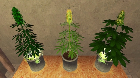 Weed Shop 2 Steam Key GLOBAL - 4