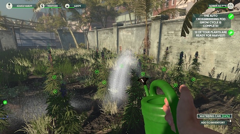 Weed Shop 3 (PC) - Steam Account - GLOBAL - 14