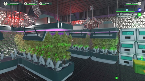 Weed Shop 3 (PC) - Steam Account - GLOBAL - 13