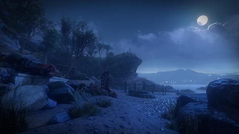 What Remains of Edith Finch (PC) - Steam Key - LATAM - 4
