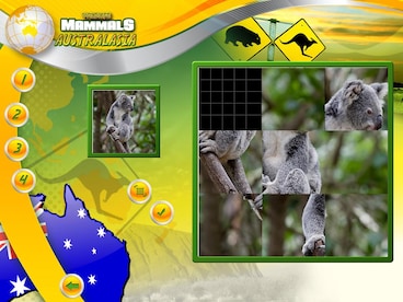 Wildlife Creative Studio Steam Key GLOBAL - 13