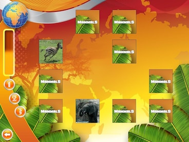Wildlife Creative Studio Steam Key GLOBAL - 14