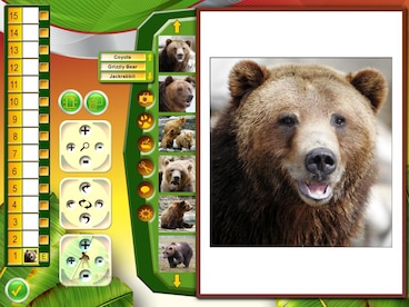 Wildlife Creative Studio Steam Key GLOBAL - 11