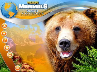 Wildlife Creative Studio Steam Key GLOBAL - 0