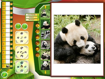Wildlife Creative Studio Steam Key GLOBAL - 12