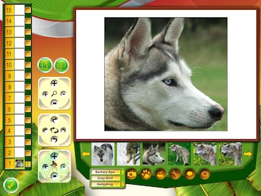 Wildlife Creative Studio Steam Key GLOBAL - 10