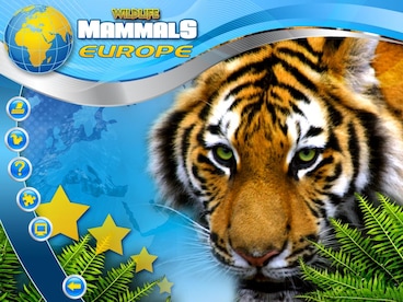 Wildlife Creative Studio Steam Key GLOBAL - 6