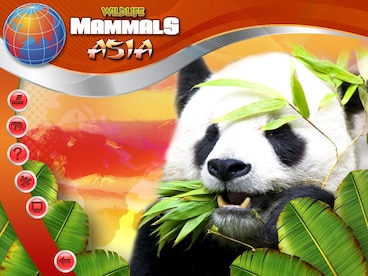 Wildlife Creative Studio Steam Key GLOBAL - 4