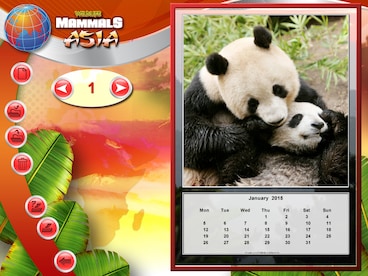 Wildlife Creative Studio Steam Key GLOBAL - 3