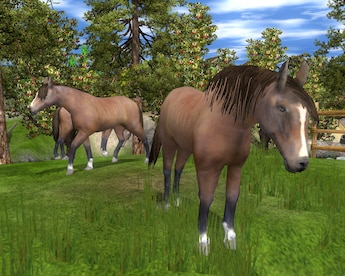 Wildlife Park 2 - Crazy Zoo Steam Gift GLOBAL - 16