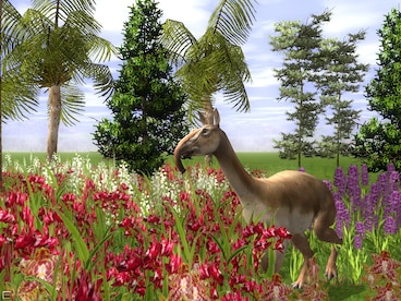 Wildlife Park 2 - Crazy Zoo Steam Gift GLOBAL - 12
