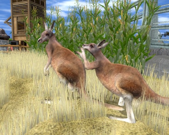 Wildlife Park 2 - Crazy Zoo Steam Gift GLOBAL - 8
