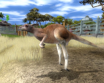 Wildlife Park 2 - Crazy Zoo Steam Gift GLOBAL - 4