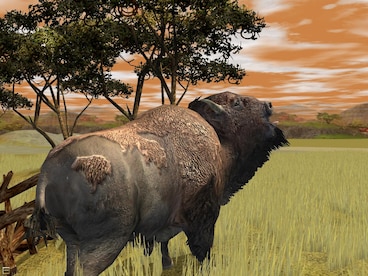 Wildlife Park 2 - Crazy Zoo Steam Gift GLOBAL - 3