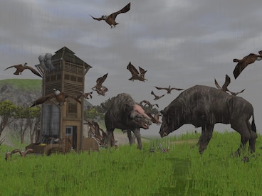 Wildlife Park 2 Steam Key GLOBAL - 17