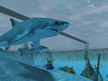 Wildlife Park 2 Steam Key GLOBAL - 11