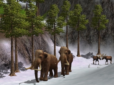 Wildlife Park 2 Steam Key GLOBAL - 6