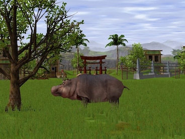 Wildlife Park 2 Steam Key GLOBAL - 3