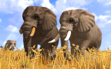 Wildlife Park 3 Steam Key GLOBAL - 5
