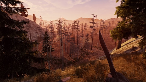 Will To Live Online Steam Key GLOBAL - 5