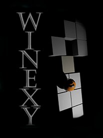 Winexy Steam Gift GLOBAL - 1