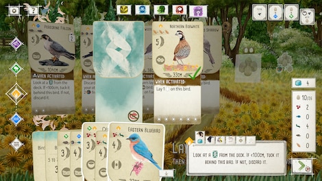 Wingspan: European Expansion (PC) - Steam Key - GLOBAL - 3