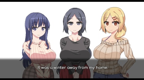 Winter Memories (PC) - Steam Account - GLOBAL - 5
