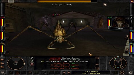 Wizardry 8 GOG.COM Key GLOBAL - 10