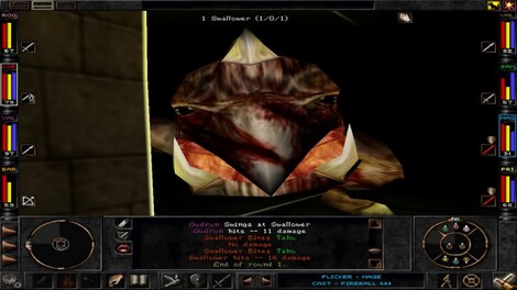 Wizardry 8 GOG.COM Key GLOBAL - 8
