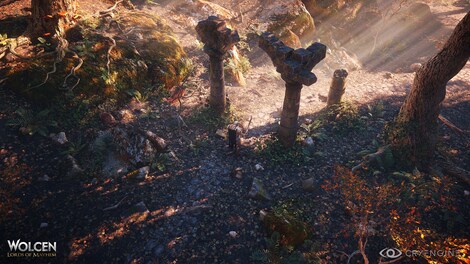 Wolcen: Lords of Mayhem GOG.COM Key GLOBAL - 12