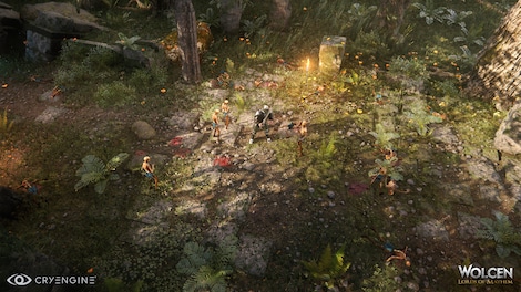 Wolcen: Lords of Mayhem GOG.COM Key GLOBAL - 13