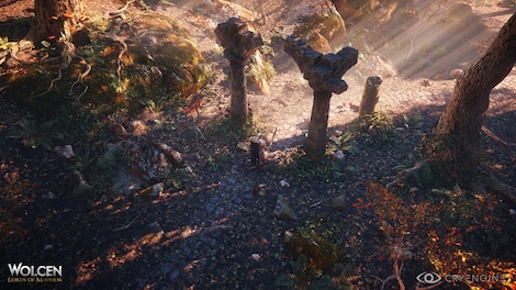 Wolcen: Lords of Mayhem GOG.COM Key GLOBAL - 7